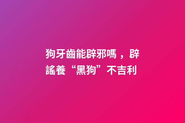 狗牙齒能辟邪嗎，辟謠養“黑狗”不吉利-第1張-觀點-玄機派